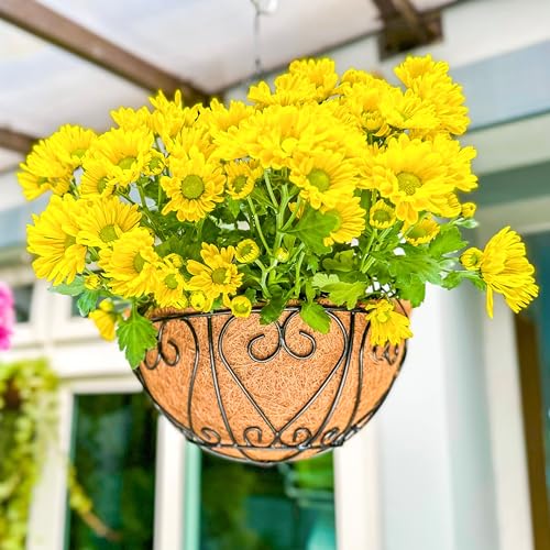 LaLaGreen Deck Hanging Baskets (16 in, 4 Pack) Black Coco Liner Garden Pots - size: 16" (41 cm) x 4 Pack