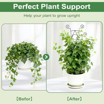 Yhtpouqe Stackable Metal Trellis for Climbing Plants Outdoor & Indoor - 4 Pack Garden Trellis for Potted Plants, Rust-Resistant Plant Support Stakes for Vines, Flowers - Sturdy Plant Trellis - size: 4 Pack