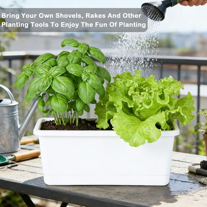 Oliz Window Box Planter 6 Packs, 13.8 Inches Rectangle Flower Pots with Drainage Holes & Trays, Pots for Vegetables, Herbs, Flowers, Garden Windowsill Balcony (White) - color: White