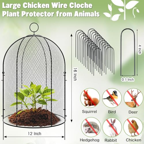 Novabright 12 Pack Garden Cloches for Plants 12" x 16" with Stakes & Zip Ties, Plant Covers from Animals Large Metal Mesh Chicken Wire Cloche Plant Protector Cage for Vegetable Garden Outdoor (Black) - color: black