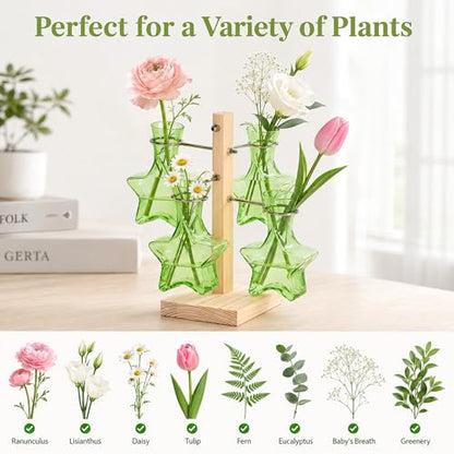 Nacome Plant Terrarium Propagation Stations: Greeen Vase with Wooden Stand - color: Green