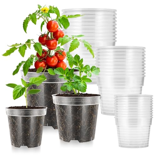 VIVOSUN 36 Packs 4/5/6 Inch Clear Nursery Pots with Drainage Holes - size: 4/5/6 Inch