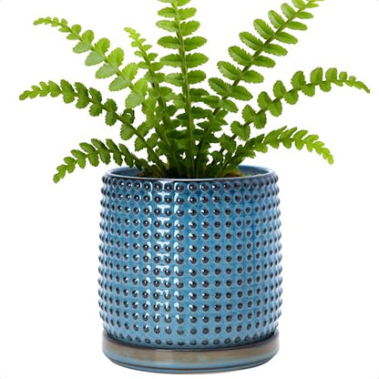 D'vine Dev Beaded Ceramic Pot with Saucer, 6 in, Ocean Teal, 27-C-X-8 - color: Ocean Teal, size: 5.8 Inch