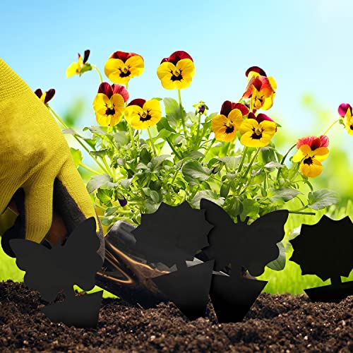 Landisun 120PCS Fruit Fly Traps Sticky Traps Fungus Gnat Traps Insect Bug Traps for Indoor Outdoor Kitchen Plants Whitefly Mosquitos Fungus Gnats Flying Insects - color: Black, size: 120PCS