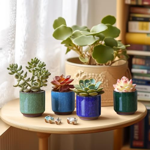 T4U Mini Succulent Pots, Small Ceramic Planters, Retro Gift Set of 6 - size: 2.4"*2.4"