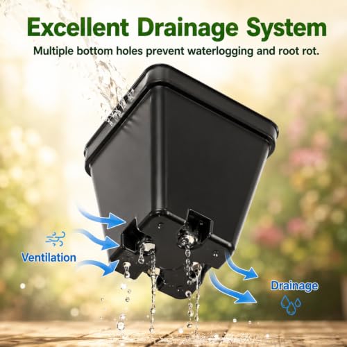 Remerry 250 Pcs Square Nursery Pots 2.63 x 3.5 Inches (D x H) Plastic Seedling Pots with Drainage Holes, Seeds Starter Germination for Plants, Black