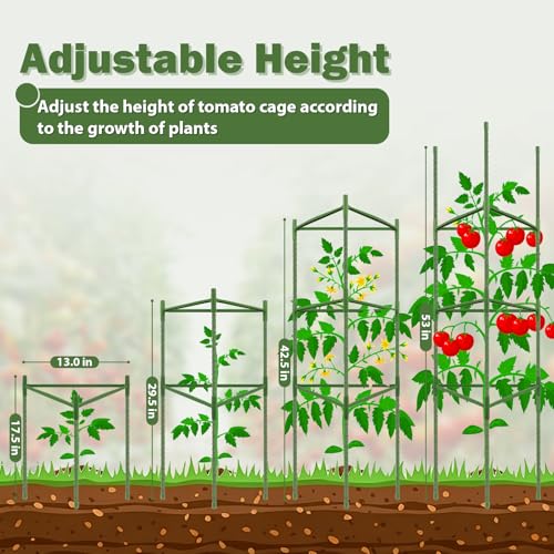 6 Pack 48 Inch Tomato Cages for Garden Plant Supports