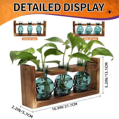 Plant Terrarium Propagation Stations Skull Planter Vase Skulls Decor - color: Dark Green