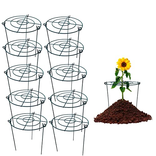 10 Pack 12"x16" Peony Cages Plant Support Stakes Grow Through Grid Grow Through Hoops, Metal Flower Plant Brace Support Ring for Heavy Blossom - size: 12"x16" Pack of 10