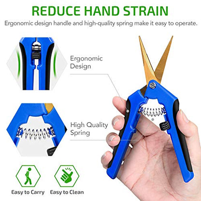 iPower GLPRNR6BLTIX2 2-Pack 6.5” Gardening Hand Pruner Shears with Titanium Coated Curved Precision Blades for Trimming House Plants, Blue - size: 2-pack, style: Blue