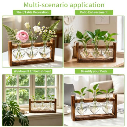 Plant Terrarium Propagation Stations with Heart Hydroponic Vase