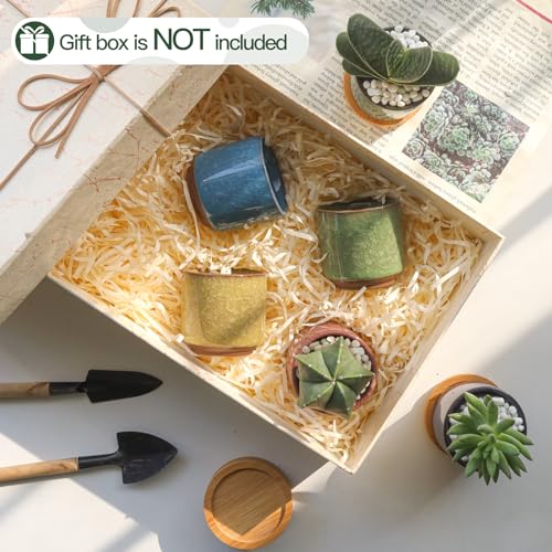 T4U Mini Succulent Pots, Small Ceramic Planters, Retro Gift Set of 6 - size: 2.4"*2.4"