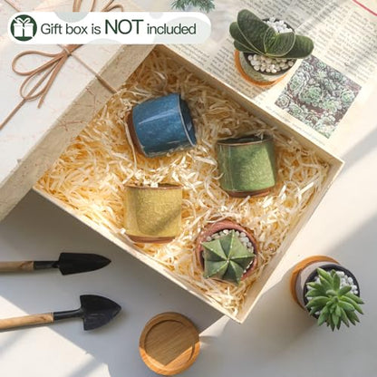 T4U Mini Succulent Pots, Small Ceramic Planters, Retro Gift Set of 6 - size: 2.4"*2.4"