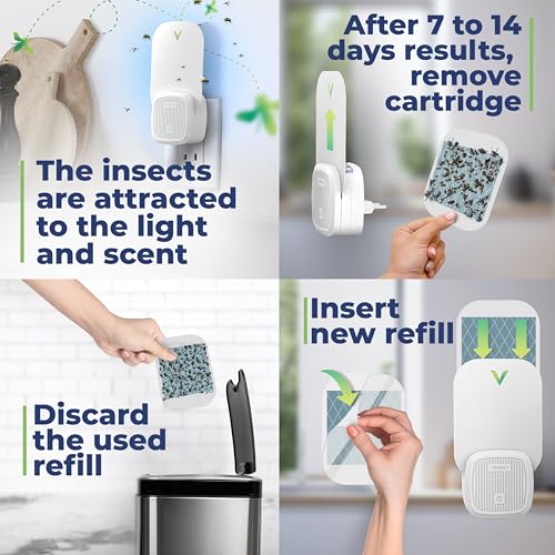 VEYOFLY Fruit Fly Traps Indoor Plug-in UV, Gnat Trap, 2 Device + 2 Refills - size: 2 Devices + 2 Refills
