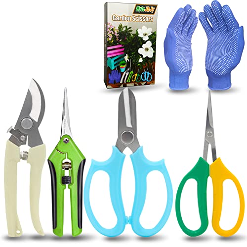 Garden Pruning Shears Garden Scissors Herb Scissors Florist Scissors Floral Snips Bonsai Scissors Hand Pruner with Gardening Gloves,Stainless Steel Straight Tip and Curved Blades,Green+Blue