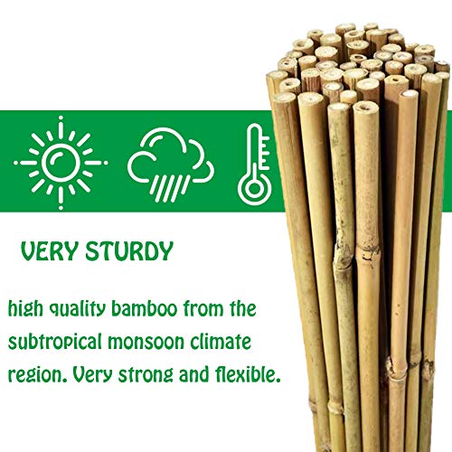 Mininfa Natural Bamboo Stakes 57 Inch (Approx 5 FEET), Eco-Friendly Garden Stakes, Plant Stakes Supports Climbing for Tomatoes, Trees, Beans, 20 Pack