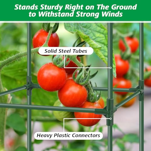 6Pack Tomato Cages for Garden,Square Tomato Plant Cage Support Heavy Duty Pole 57*15.4*15.4 Inches,Steel Plant Tower Stakes,Cherry Tomato Trellis Cucumber for Climbing Vegetables Flowers Fruits-Green - color: Tomato Cages-Green