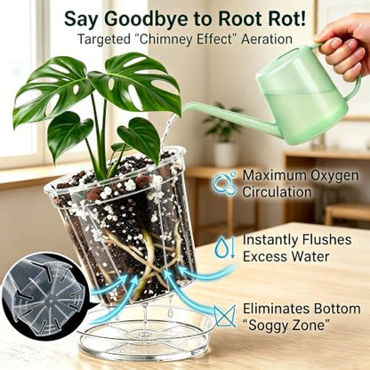 Root-Safe Clear Plant Pots for Indoor: Zero Transplant Shock for Orchids