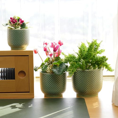 4 + 5 + 6 Inch Ceramic Pots for Indoor Plants, Succulents Plant Pots, Orchid Flower Pot with Drainage Hole, Modern Clay Stoneware Planters, Set of 3 (Green, 4+5+6 Inch) - color: Green
