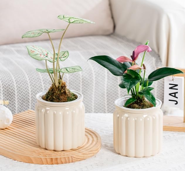 2PCS Self Watering Planters 4.5 Inch Self Watering Pots for Indoor Plants, African Violet Pots with Wick Rope, Flowers, Succulents, Herb, House Plants - color: Beige