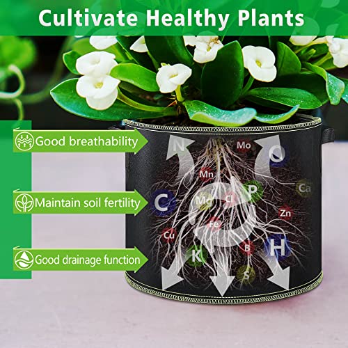 LINERY 10-Pack 10 Gallon Grow Bag Planting Black Heavy Duty Thickened Grow Bag with Handles Non-Woven Fabric Plant Pots (10-Pack 10 Gallon) - size: 10-Pack 10 Gallon