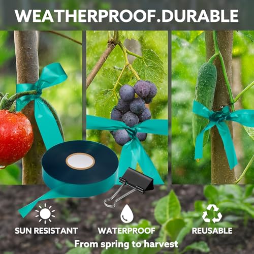 Plant Tie Tape, 1 in x 197 ft Stretchable Green Garden Tape for Plants, Soft Non-Adhesive PVC Plant Ties for Tomatoes, Grapes, Vines, Trees, Branches & Climbing Plants, 2 Rolls - size: 394 ft