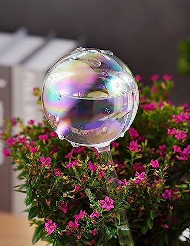 Tomorotec Glass Plant Watering Globes, Self Watering Spikes 2 Large+2 Small - color: Iridescent-2 Large+2 Small