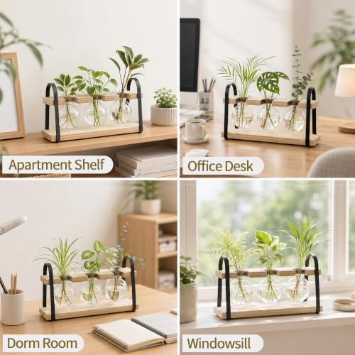 3-Bulb Plant Propagation Station, Glass Vase Terrarium, Retro White - color: White