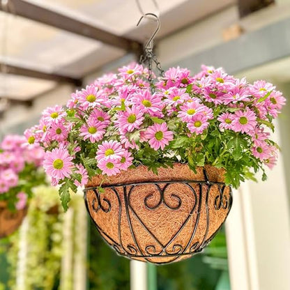 LaLaGreen Hanging Baskets (12 in, 6 Pack) Black Coco Liner Plant Pots - size: 12" (30 cm) x 6 Pack