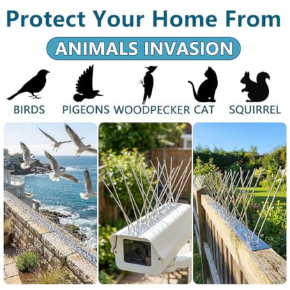 Bird Spikes Install,304 Stainless Steel Bird Deterrents Spikes for Outside to Keep Birds Away Bird Scare Devices Outdoor (60, Black) - color: Black