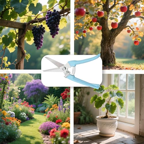 Blue Straight Blade Stainless Steel Pruners - Rustproof Branch Cutter with Comfortable Non-Slip Grip - color: Blue, size: Straight mouth
