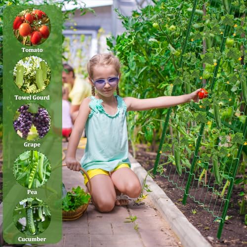 2 Packs Cucumber Trellis for Raised Beds, 31 X 47 Inch Adjustable Size A-Frame Garden Trellis for Climbing Plant Outdoors with Climbing Net and Plant Support Clip for Vegetable Grape Garden Supplies - size: 2pack 31 x 47 Inch