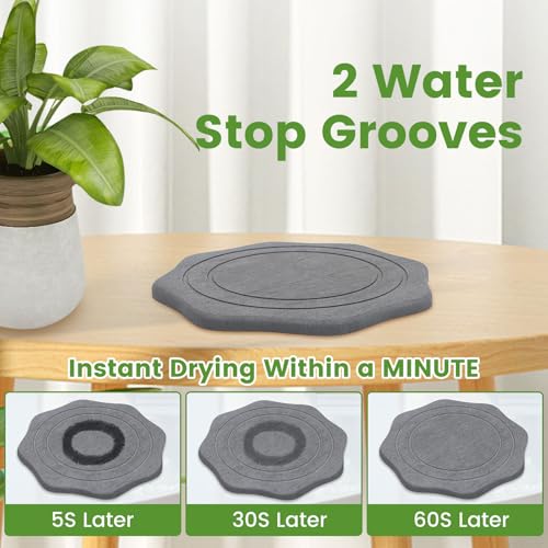 Plant Saucer for Indoors, 2 Packs 8 inch, Diatomaceous Earth Pot Saucers No Holes, Instant Dry Plant Drainage Trays for Pots, Dark Gray - size: 8inch