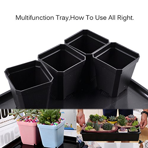 eZAKKA 14.6" x 11.8" Seed Starter Tray Kit with Dome, 20 Cells, Black - color: Black Pots