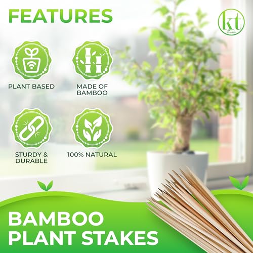 100 Pack 18" Bamboo Plant Stakes for Indoor Plants, Long Wood Skewers Sticks for Plant Support Tomato Floral Flower Bouquet, Garden Wooden Sticks Sign Posting and Other Crafts (100pc - 18 inch)