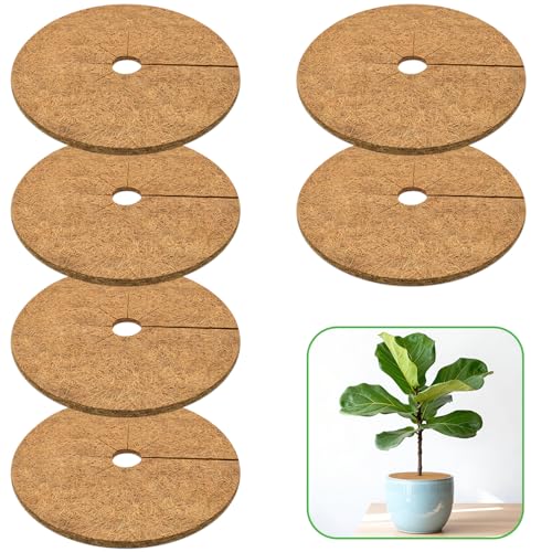 ZeeDix 11.8 Inch Coconut Fiber Tree Ring Mulch Mat, 6 Pack Tree Mulch Ring - color: 6 Pack, size: 11.8 Inch