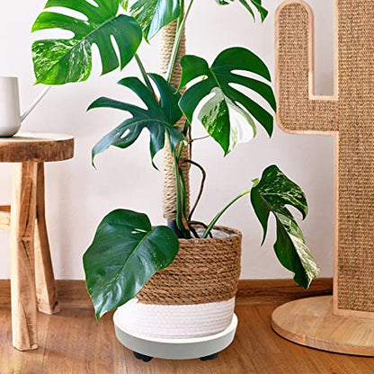 Outdoor Roll Around Plant Caddy with Wheeled Planter Pallet, Heavy Duty Plant Tray Round Planter Trolly for Moving Large Potted Trees,Ceramic Heavy Plants (Small) - color: Small