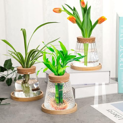 6 Pcs Glass Plant Propagation Station with Wood Lid & Stand, Cute Style - style: Cute Style