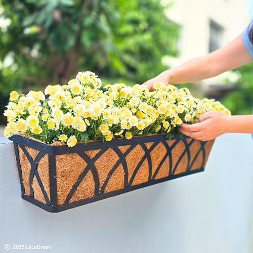 LaLaGreen Deck Railing Planter (24 in, 2 Pack) Black Metal Flower Box - size: 24" (60cm) x 2 pack
