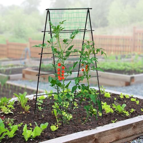 Cucumber Trellis for Raised Garden Bed, 71" H x 32" W A Frame - size: 70.8 x 31.5 x 31.5 in, A-Frame, Black