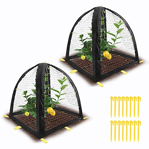 2PCS Pest Guard Cover-22 x 22 x 23 Inch Mesh Plant Cover for Pests-Garden Plants Cloche Tent for Protect Plants Vegetables Fruits Shrubs from Squirrel Animal Eating - color: S-2pcs
