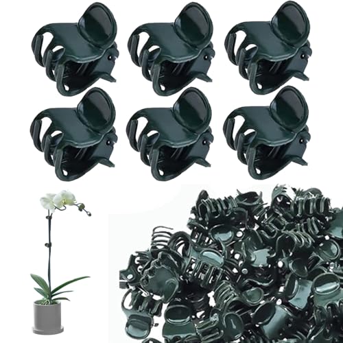 Plants Orchid Support Clips Plant Clips Orchid Clips Flower Vine Clips for Supporting Stems Vines Stalks Climbing Plant Grow Upright 30PCS Tiny Size