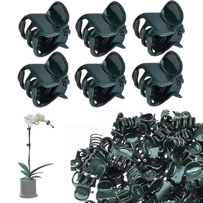 Plants Orchid Support Clips Plant Clips Orchid Clips Flower Vine Clips for Supporting Stems Vines Stalks Climbing Plant Grow Upright 30PCS Tiny Size
