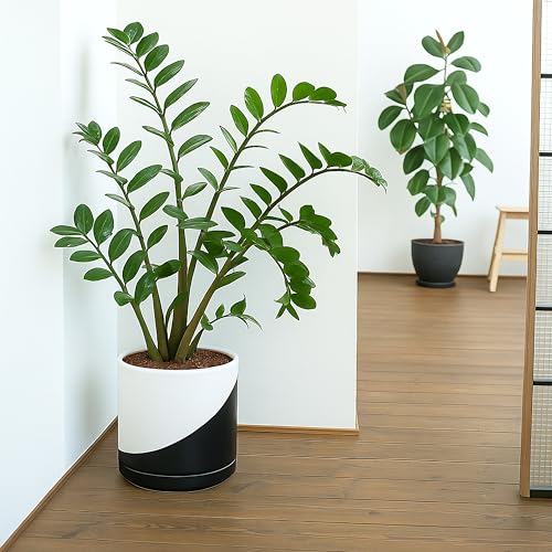 D'vine Dev 10 Inch Ceramic Planter Pot, Black White Diagonal, 94-O-E-K - color: Oblique Monochrome Black & White, size: Large