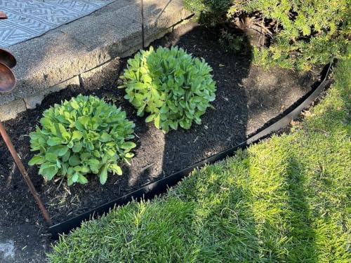 5Pcs - 48'' L x 6'' H Steel Landscape Edging Edging for Landscaping Hammer in Metal Landscape Edging Border for Garden Courtyard No-dig Hammer in Edging with Gloves(20FT Total Length) - color: 48'' L x 6'' H, style: 5 Pack