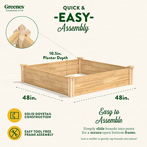 Greenes Fence Premium Cedar Raised Garden Bed, 4' x 4' x 10.5" (3/4" Thick) (2-Pack) - Made in USA with North American Cedar - size: 2-Pack