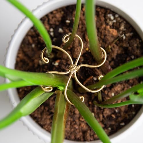 5Pcs Monstera Plant Stem Support Hook-2.75x2.75in Plant Stem Holder - size: 2.75 x 2.75 inches