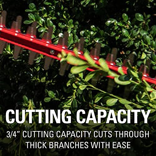 Greenworks 24V 22" Cordless Laser Cut Hedge Trimmer, Tool Only - size: 22 in, style: Tool Only