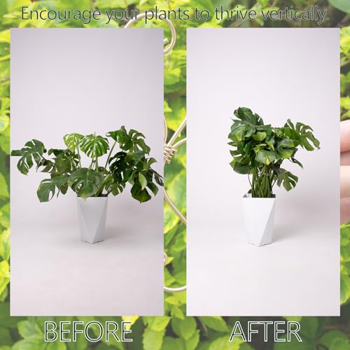 7.5In Monstera Plant Stem Support Hook Set-5PCS Metal stem Holder - size: 7.5 x 7.5 inches