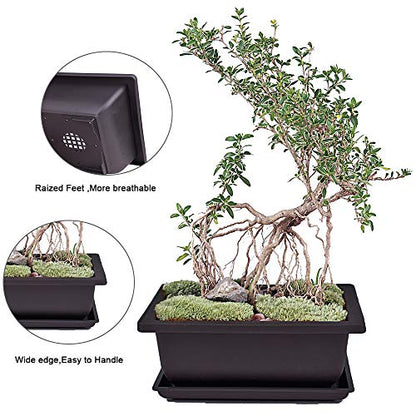 MUZHI 6PCS/Pack Retro Style Basin Plastic Flower Pot 6.5 Inch Flower Bonsai Tree Plant Bowl Nursery Pots Maceta Cuadrada Simulational Purple Sands Pots with Tray Rectangle Small - size: 6pcs small rect 6.5"